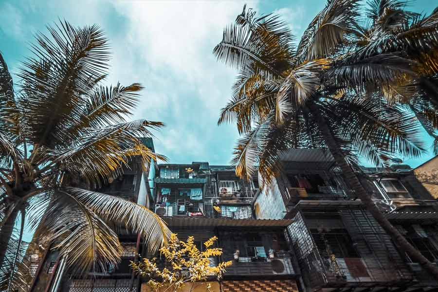 তবে বলিপাড়ায় এক জন অভিনেতার এমন বাড়ি রয়েছে, যার আকার ‘মন্নত’ এবং ‘জলসা’র চেয়ে অনেক বড়। দামের দিক থেকে তুলনা করলে দেখা যায়, ‘মন্নত’-এর চেয়ে সেই বাড়িটির দাম চার গুণ বেশি।