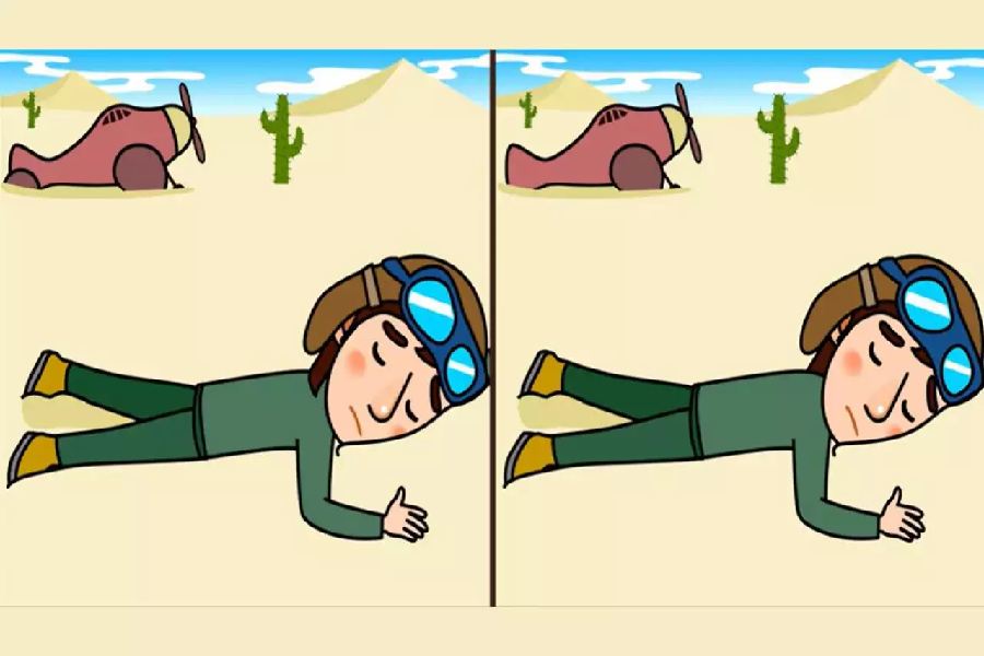 ধাঁধায় অবিকল দু’টি ছবিতে খুঁজতে হবে পার্থক্য।