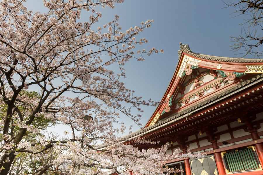 All you need to know about Japanese haunted doll okiku 