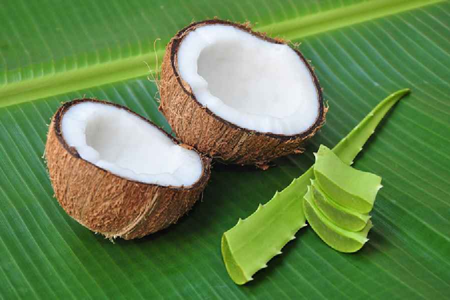 How to use coconut milk to increase hair growth.