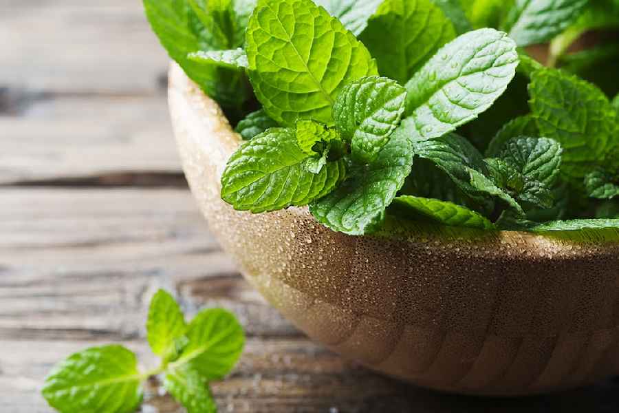 How Mint Leaves Can Help You Maintain a Clear and Glowing Skin during winter.