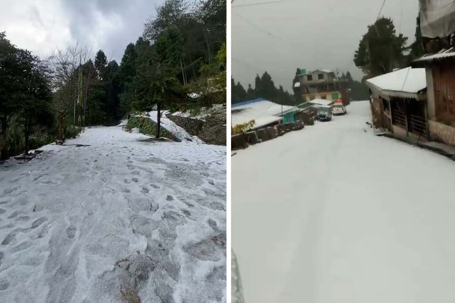 Image of snow fall in darjeeling district