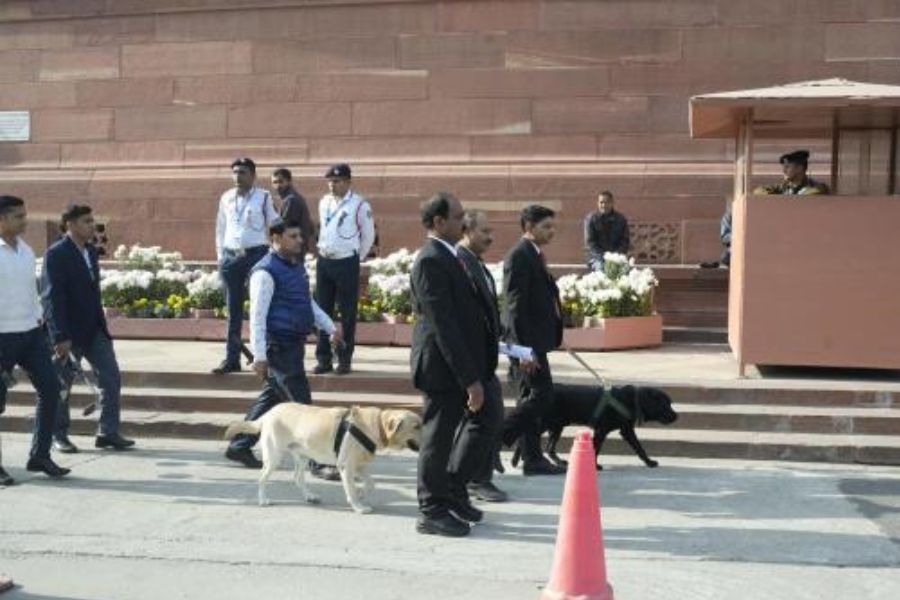 ঘন হলুদ ধোঁয়ায় ঢেকে যায় লোকসভার মূল অধিবেশন কক্ষের একাংশ। আতঙ্কিত হয়ে পড়েন সাংসদেরা।