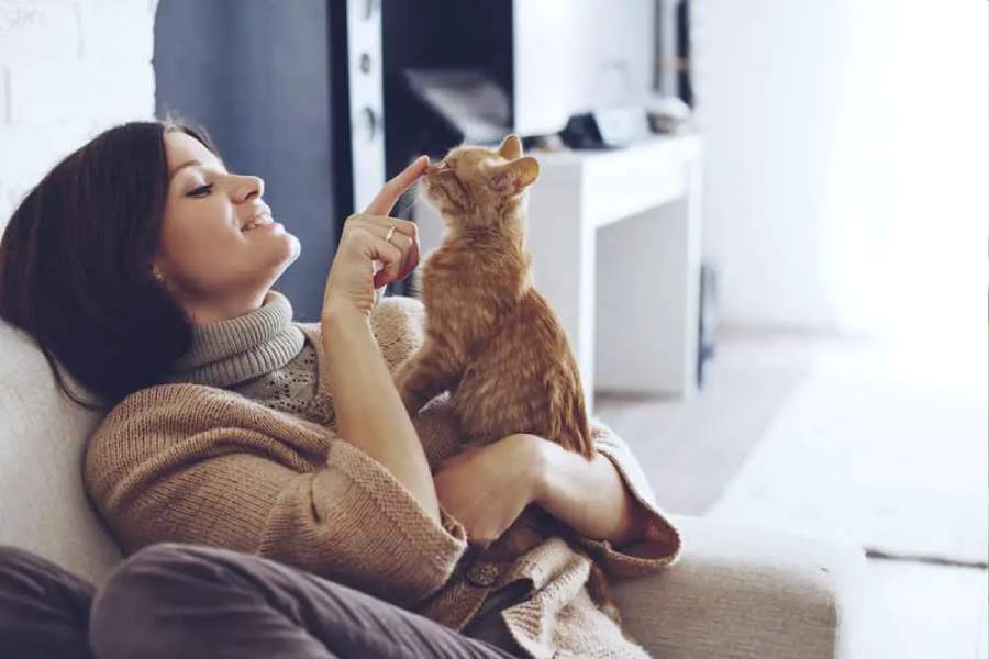 Owning a cat could increase the risk of developing schizophrenia.