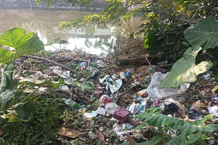 ব্লক অফিসের পুকুর পাড় ও সংলগ্ন এলাকায় জমছে প্লাস্টিক।