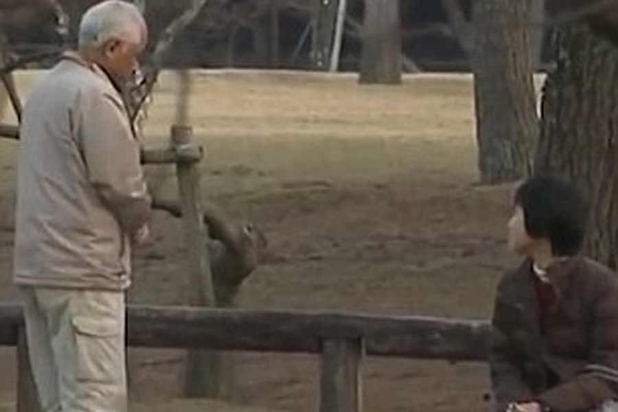 বাড়িতে মা-বাবার দ্বন্দ্ব মেটানোর চেষ্টা কম করেননি ইয়োশিকি। মা কাটাইয়ামাকে মানিয়েও নিয়েছিলেন। কিন্তু তাতেও কাজের কাজ কিছুই হয়নি। কাটাইয়ামা যতই স্বামীর সঙ্গে কথা বলতে যান, স্রেফ হুঁ-হাঁ করেই এড়িয়ে যান ওটোউ। ফলে কথোপকথন আর হয়ে ওঠেনি।