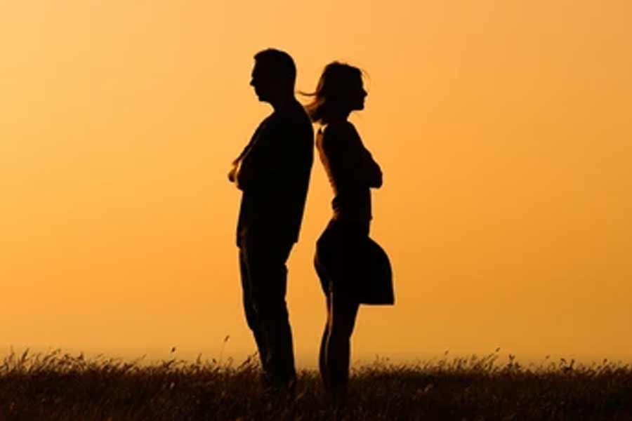 তার পরেই বলে ফেলেন ‘আসল কথা’। ওটোউ বলে ওঠেন, ‘‘আসলে, এত দিন তুমিই তো মুখ বুজে সমস্ত সহ্য করেছ। আমি তোমাকে জানাতে চাই, সব কিছুর জন্য আমি তোমার কাছে কৃতজ্ঞ।’’ শুনে নতুন বৌয়ের মতো মুচকি হেসে ওঠেন প্রৌঢ়ত্বের সিঁড়িতে পা দেওয়া কাটাওয়ামা।