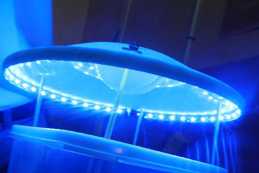 এই তথ্য অবশ্য নতুন কিছু নয়। অতীতের গবেষণাতেও তা-ই দেখা গিয়েছে। সেই কারণে পতঙ্গদের জন্য নীল রঙের মরণফাঁদ তৈরির রীতি প্রচলিত বিশ্ব জুড়ে। কিন্তু যত বিতর্ক ছিল এর নেপথ্য-কারণ নিয়ে। 