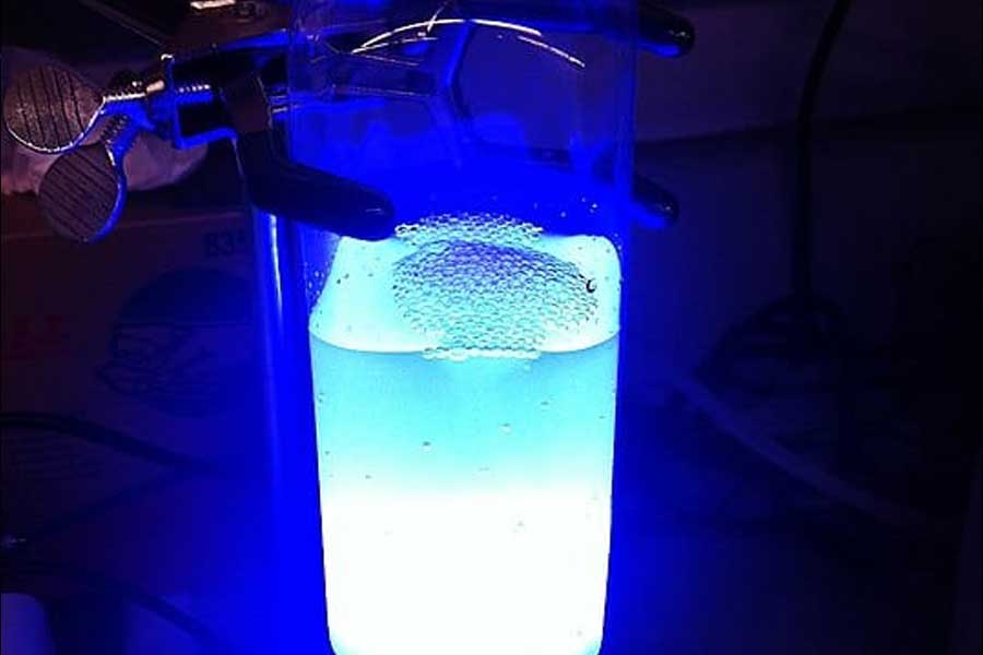 কিন্তু সাম্প্রতিক গবেষণায় দাবি করা হয়েছে যে, আফ্রিকার টেটসি প্রজাতির বিষাক্ত পতঙ্গ নীল রংকে খাদ্য হিসাবেই দেখে। যে সব পোকা তাদের খাদ্য, নীল রঙের মধ্যে সেই সব পোকামাকড়কেই দেখতে পায় টেটসি বা হর্স ফ্লাইয়েরা। 