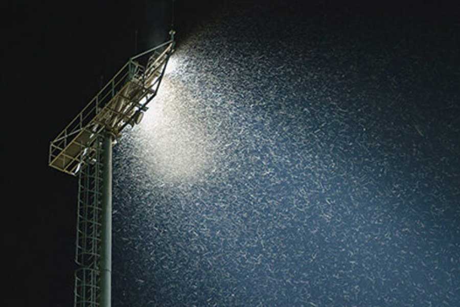 ব্রিটেনের অ্যাবারিস্টউইথ বিশ্ববিদ্যালয়ের জীবন বিজ্ঞান বিভাগের অধ্যাপক রজার স্যান্টারের নেতৃত্বে এই গবেষণা চলেছে। গবেষণাপত্রটি প্রকাশিত হয়েছে ‘রয়্যাল সোসাইটি’ জার্নালে।