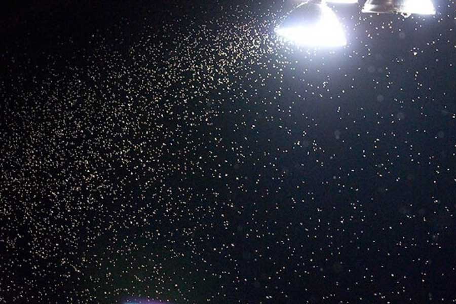 গবেষকেরা জানান, নীলফাঁদে যে ক’টি টেটসি মাছি ধরা পড়েছে, সেগুলি অনেক ক্ষণ অভুক্ত ছিল। এর থেকেই গবেষকেরা বুঝতে পেরেছেন, মূলত খাদ্যের খোঁজে নীল রঙের দিকে ছুটে যায় পতঙ্গেরা।  