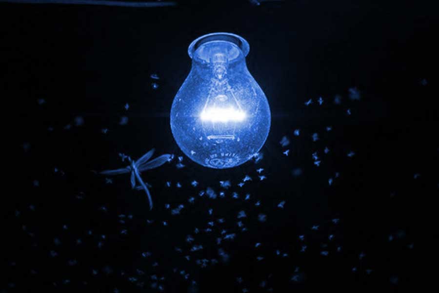 বিভিন্ন প্রজাতির পতঙ্গ থেকে রোগজীবাণু ছড়ায় মানুষ এবং গবাদি পশুর শরীরে। তা রুখতে ভবিষ্যতে এই গবেষণা কাজে আসবে বলেই মত স্যান্টারের।