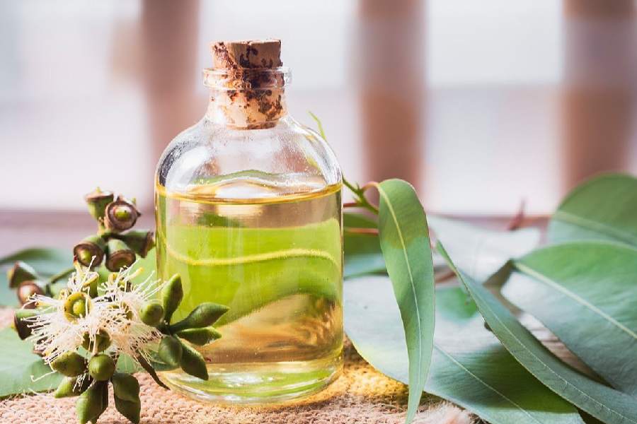 Try these home remedies to get relief from cough with phlegm.