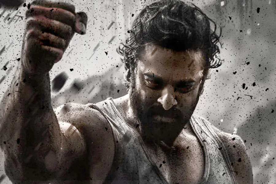 ‘ডাঙ্কি’ মুক্তির ঠিক এক দিন পর প্রেক্ষাগৃহে মুক্তি পেতে চলেছে ‘সালার’। দক্ষিণী পরিচালক প্রশান্ত নীল এই ছবির পরিচালনার দায়িত্বে রয়েছেন।