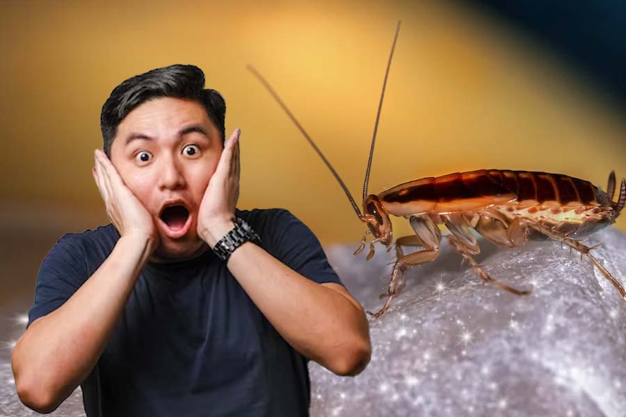 Man in Japan burns own apartment while trying to kill cockroach.