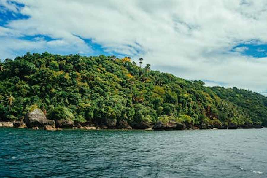 Thousands of Japanese soldiers died in Myanmar Ramree Island during World War II
