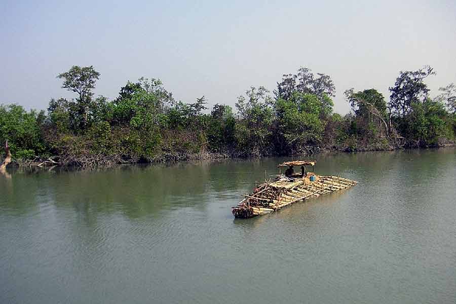 Thousands of Japanese soldiers died in Myanmar Ramree Island during World War II