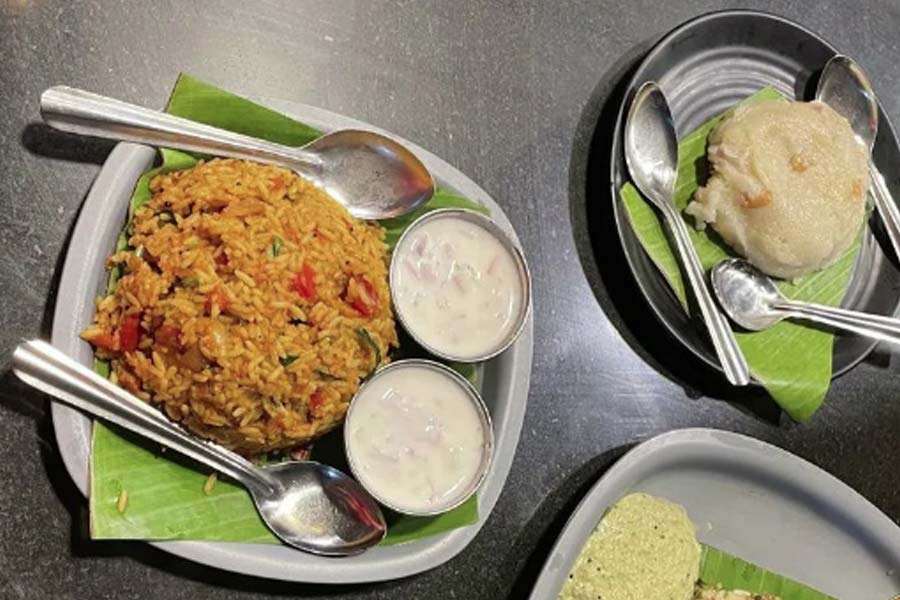 ২০২১ সালে বেঙ্গালুরুর ইন্দিরানগরে প্রথম রেস্তরাঁ খোলেন রাঘবেন্দ্র এবং দিব্যা। রেস্তরাঁ খোলার পর তাঁদের নামডাক আরও বৃদ্ধি পায়।