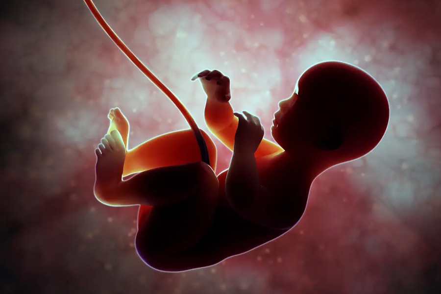 Male eggs and female sperm may change reproduction pattern
