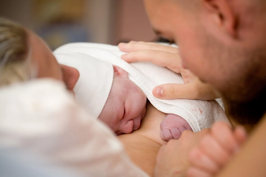 Male eggs and female sperm may change reproduction pattern