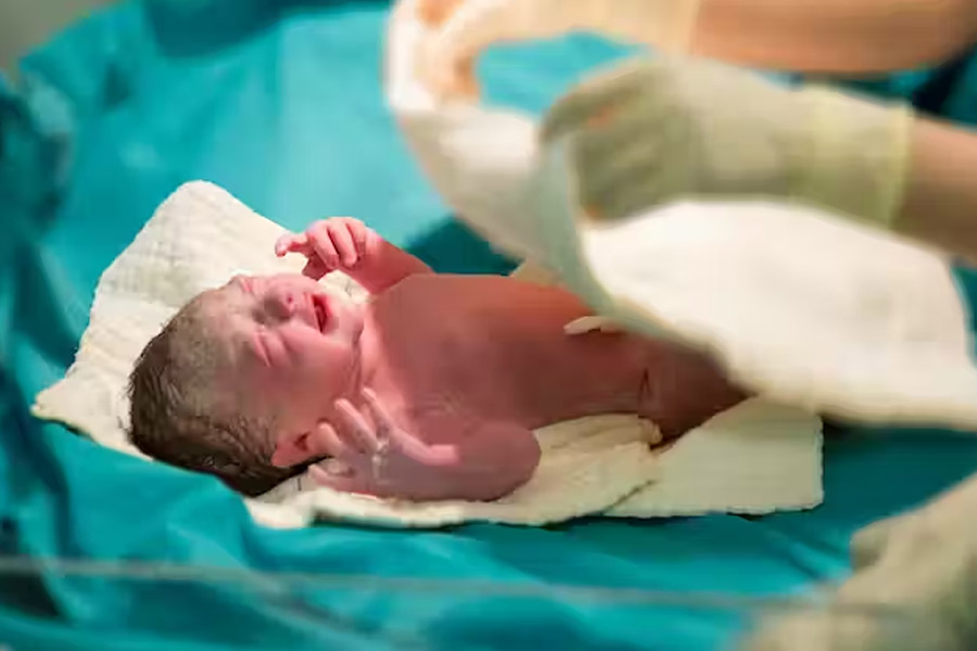 Male eggs and female sperm may change reproduction pattern