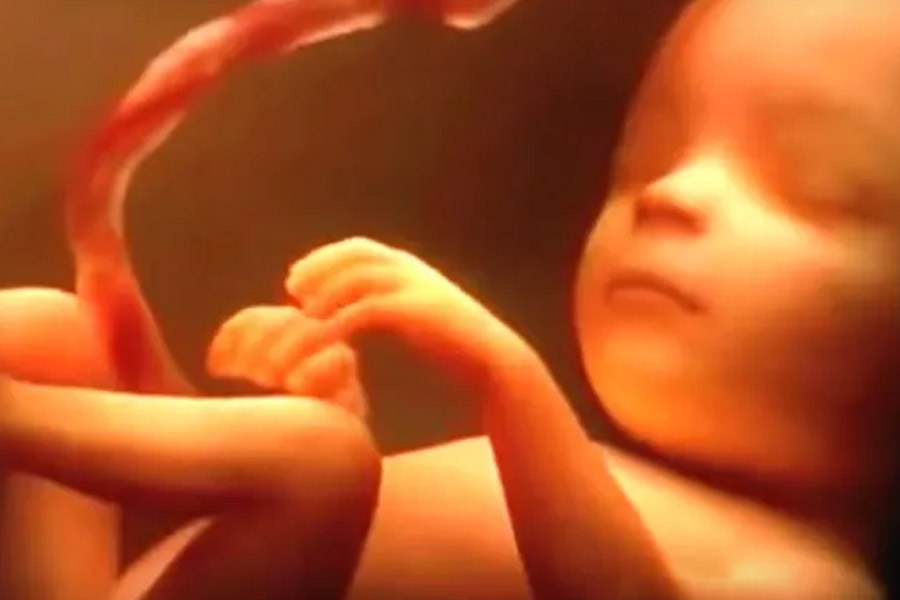 Male eggs and female sperm may change reproduction pattern