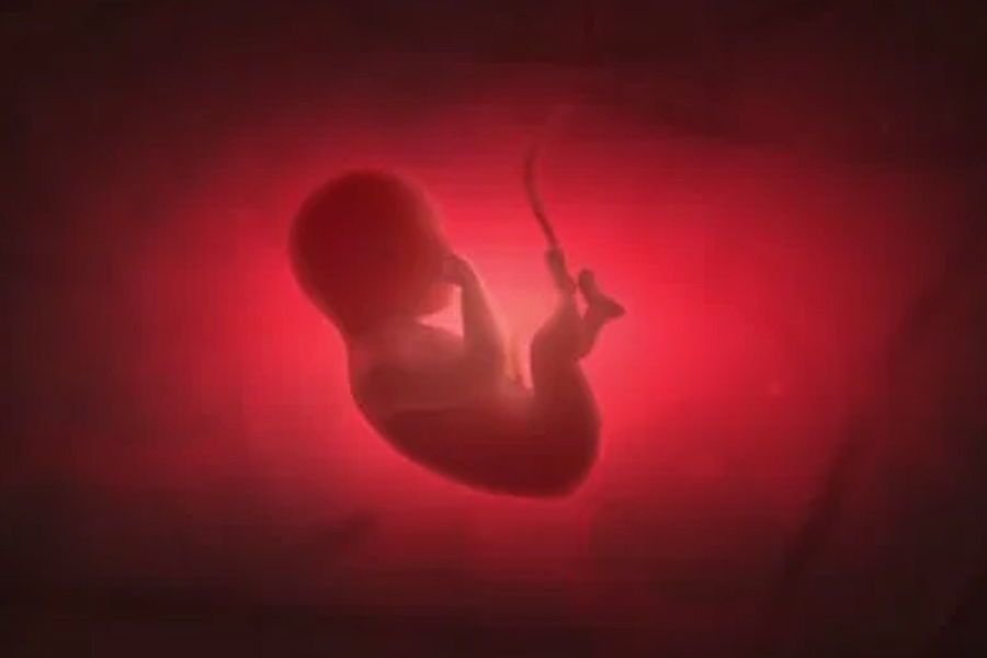 Male eggs and female sperm may change reproduction pattern