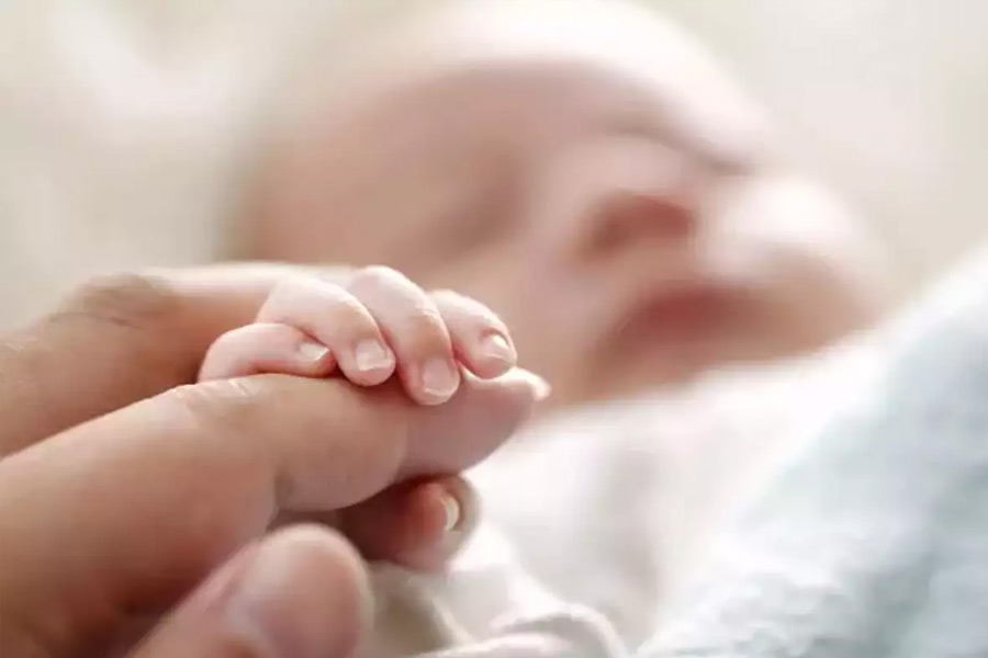 Male eggs and female sperm may change reproduction pattern