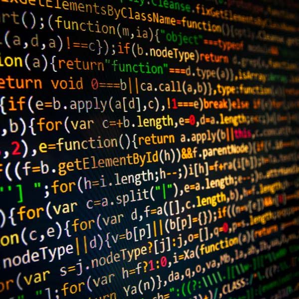 সাত বছর বয়স থেকে কোডিং শিখছে প্রাঞ্জলি। সময়ের সঙ্গে সঙ্গে জটিল কোডিংও রপ্ত করে ফেলে সে।