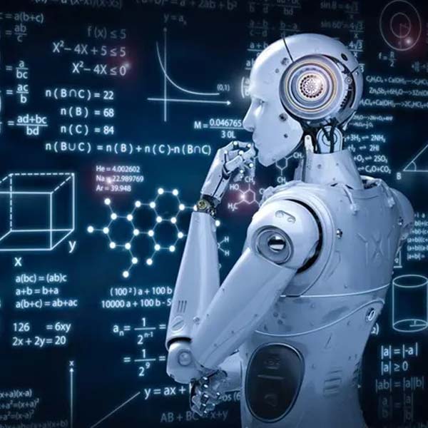 ফ্লোরিডায় গিয়ে কোডিংয়ের পাশাপাশি ‘মেশিন লার্নিং’ নিয়েও পড়াশোনা শুরু করে প্রাঞ্জলি। কম্পিউটার সায়েন্স এবং অঙ্ক বিষয়েও উচ্চস্তরের পড়াশোনা করে সে।