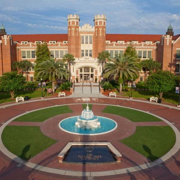 ১৩ বছর বয়সে ফ্লোরিডা ইন্টারন্যাশনাল ইউনিভার্সিটি থেকে প্রশিক্ষণ নেয় প্রাঞ্জলি। অনলাইন মাধ্যমে স্কুলের পড়াশোনাও চালিয়ে যায় কিশোরী।