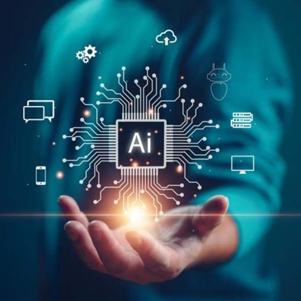 প্রাঞ্জলির সংস্থার বর্তমান বাজারমূল্য ভারতীয় মুদ্রায় ১০০ কোটি টাকা। ভবিষ্যতে কলেজের পড়াশোনা শেষ করার পর আবার ব্যবসার কাজই করতে চায় সে।