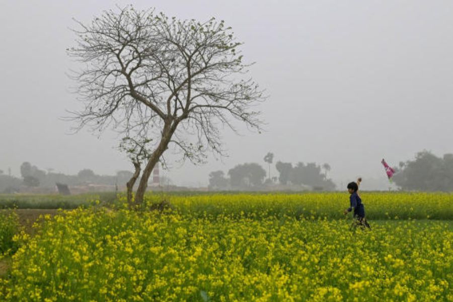 হাওয়া অফিস সূত্রে খবর, আগামী শুক্রবার-শনিবার থেকে ঊর্ধ্বমুখী হতে পারে তাপমাত্রা। পারদ দু’তিন ডিগ্রি বেশি চড়তে পারে। 