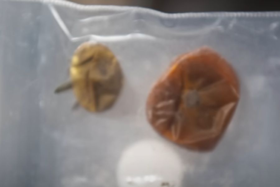 তাতে দেখা গিয়েছে, টোম্যাটো দু’টি সামান্য চেপ্টে গিয়েছে। গোল অবস্থায় আর নেই। এ ছাড়া, টোম্যাটোর ভিতরের রসও প্রায় সবটাই শুকিয়ে গিয়েছে।