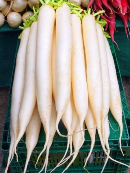 know these amazing health benefits of raddish and stay healthy in this winter dgtl