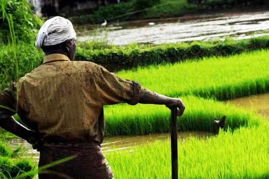 Delhi man quits job and sells house to distribute 50,000 helmets free of cost across 22 states
