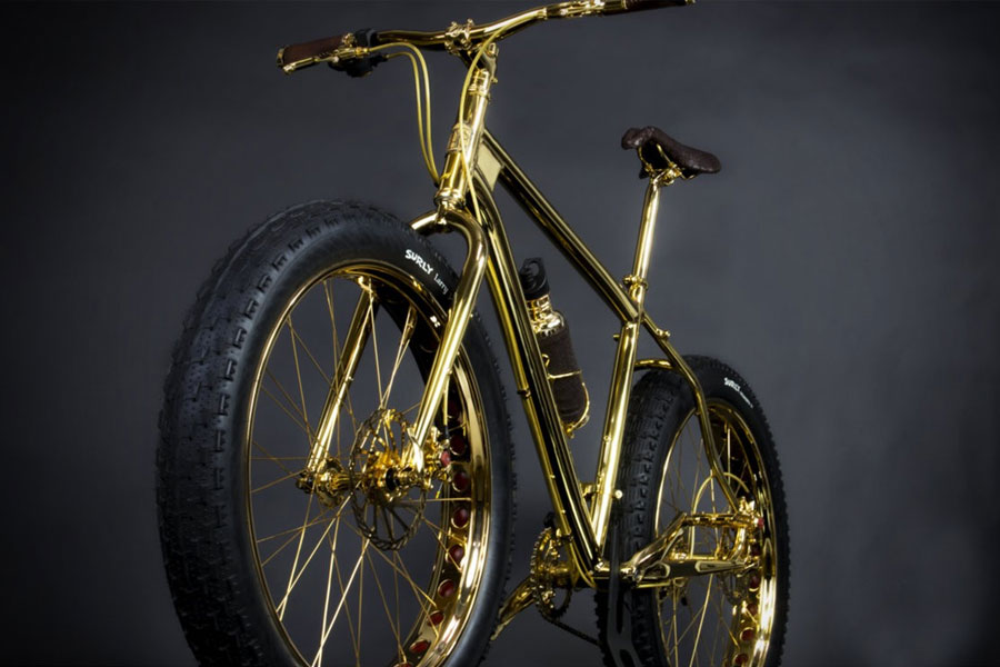 ৬০০টি কালো হিরে এবং ৩০০ নীলকান্তমণি দিয়ে তৈরি বেভারসি হিলস এডিশনের সাইকেল। এই একটি সাইকেলটি বানাতে ৭৫০ ঘণ্টা সময় লাগে।