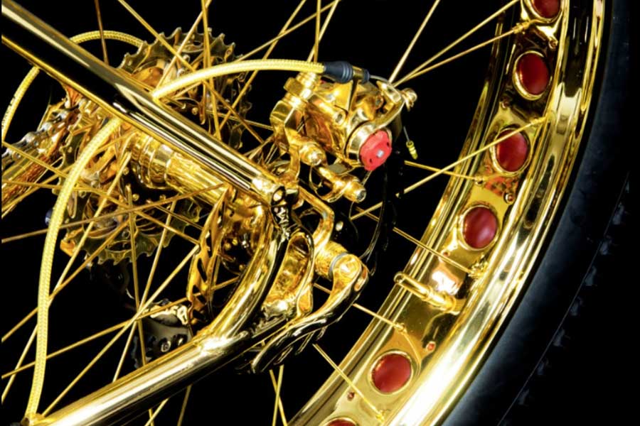 বিশ্বের সবচেয়ে দামি সাইকেলের তালিকায় নাম রয়েছে বেভারসি হিলস এডিশনের সাইকেলের। ভারতীয় মুদ্রায় এই সাইকেলের দাম আনুমানিক সাত কোটি টাকা।