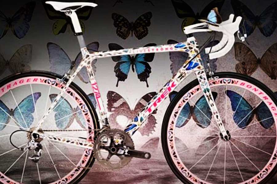 আমেরিকার শিল্পী ড্যামিয়েন হার্স্ট এমন একটি সাইকেল তৈরি করেছিলেন যা বিশ্ব জুড়ে সাড়া ফেলে দেয়। প্রজাপতির ডানা দিয়ে নাকি এই সাইকেল তৈরি করা হয়। সে কারণে অনেকেই সাইকেল প্রস্তুতকারী সংস্থার বিরুদ্ধে অভিযোগ তোলে। এই সাইকেলের নাম ট্রেক বাটারফ্লাই ম্যাডন।