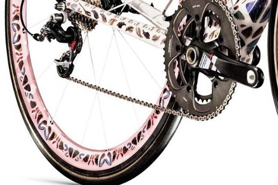 ট্রেক বাটারফ্লাই ম্যাডন সাইকেল ভারতে পাওয়া যায় না। এই সাইকেলের দাম এতই বেশি যে সাইকেলটি নিলামে তোলা হয়। কানাঘুষো শোনা যায় সাইকেলটি নিলামে বিক্রি করে যে টাকা পাওয়া গিয়েছিল তা ক্যানসার আক্রান্তদের চিকিৎসায় দান করে দেওয়া হয়।