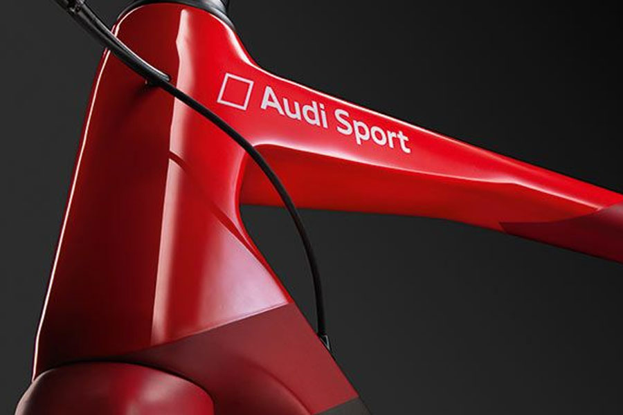 ভারতীয় মুদ্রায় অডি ই-বাইকের আনুমানিক মূল্য ৮ লক্ষ টাকা থেকে ১৪ লক্ষ টাকা।