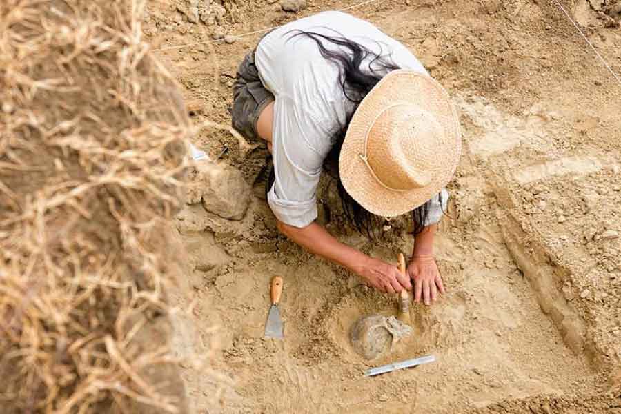 Bihar Government ready to explore 2,600  year old site found in Bhadaria village