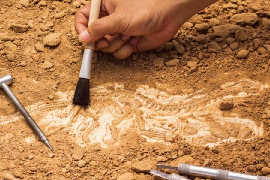 Bihar Government ready to explore 2,600  year old site found in Bhadaria village