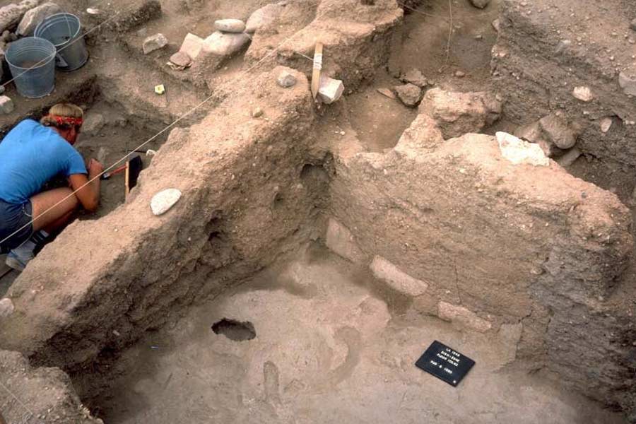 Bihar Government ready to explore 2,600  year old site found in Bhadaria village