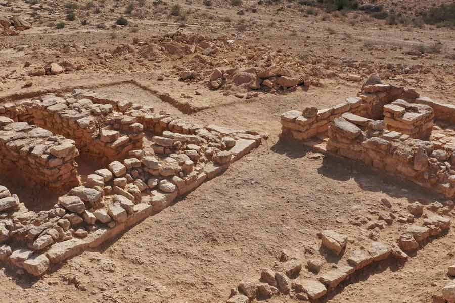 Bihar Government ready to explore 2,600  year old site found in Bhadaria village
