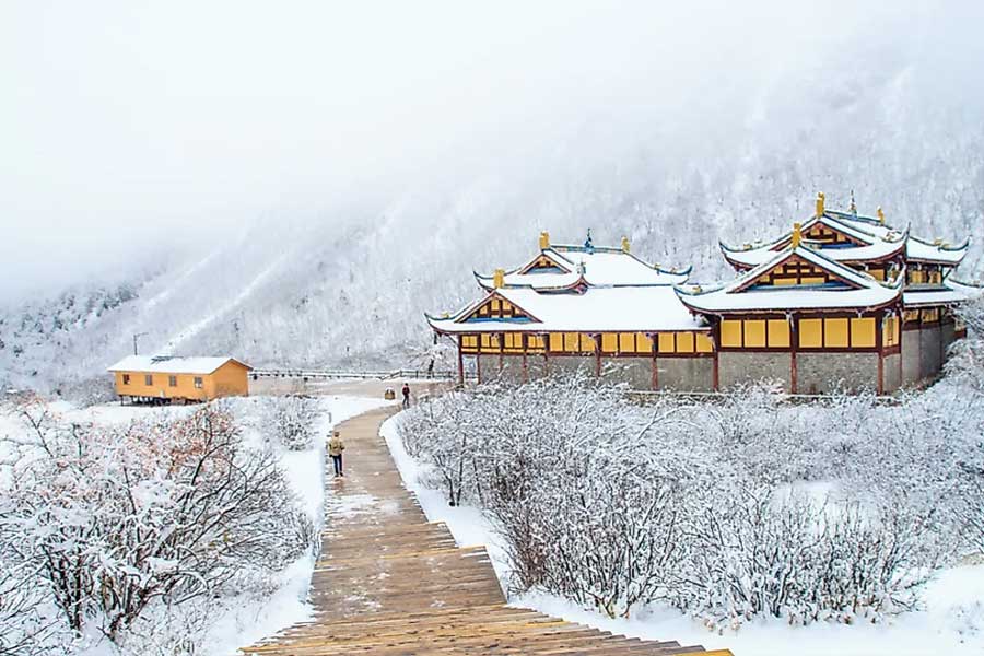 গাড়ি চলাচল তো বটেই, রাস্তায় এমন ভাবে বরফ জমে রয়েছে যে হাঁটতেও নাজেহাল অবস্থা বাসিন্দাদের। 
