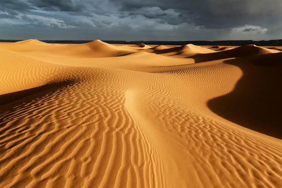 পঞ্জাব, হরিয়ানা, গুজরাতের সমাজ মাধ্যমে একটু উঁকি ঝুঁকি দিলেই চোখে পড়বে সেই সাবধানবাণী। সঙ্গে ‘ডাঙ্কিরুট’-এর ভিডিয়ো। বর্ণময় বিবরণও। যা পড়লে গায়ে কাঁটা দেবে। দেখলে শিউরে উঠবে শরীর। 