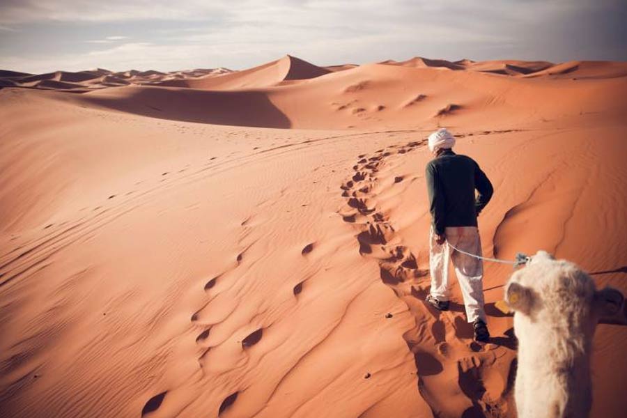 ভিডিয়োগুলির কোনওটি তোলা হয়েছে পানামার জঙ্গলে। কোনওটা আবার মরুভূমির মতো ধূ ধূ জনহীন এলাকায়। কোনওটিতে ভিডিয়োয় দেখা যাচ্ছে, এই পথ দিয়ে হেঁটে চলা মানুষের মৃত্যুর দৃশ্য। কোথাও আবার তাঁরা অকথ্য  অত্যাচারের শিকার। 