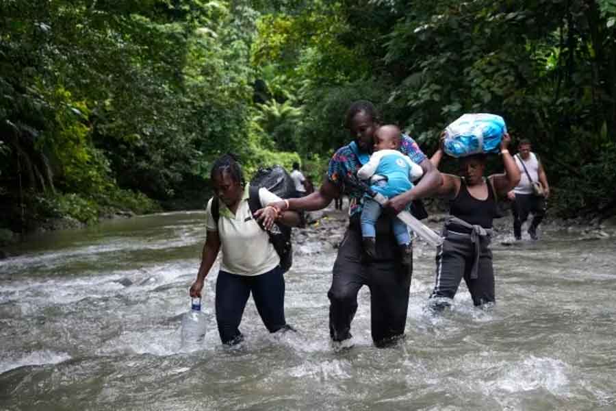 এ জঙ্গলে পরিষ্কার পানীয় জলটুকুও নেই। হিংস্র জন্তু সঙ্কুল এই জঙ্গল অপরাধীদেরও নিরাপদ ঘাঁটি। এই এলাকায় বহু শরণার্থী ডাকাতের কবলে পড়ে সর্বস্ব খুইয়েছে। ধর্ষিত হয়েছেন বহু মহিলা। খুনও হতে হয়েছে। কিন্তু সেই অপরাধের কোনও প্রতিকার নেই। 