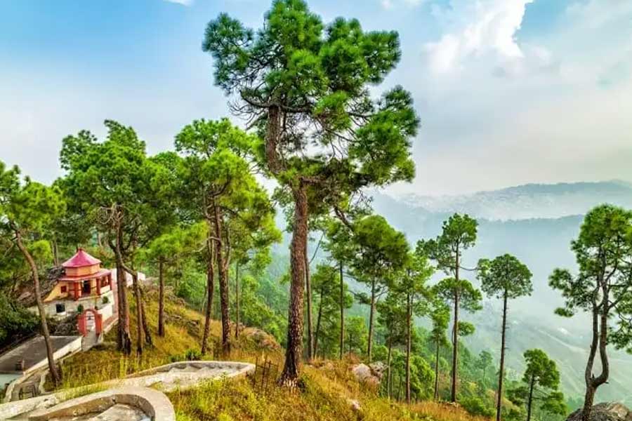 এএসআই-এর অনুমান, প্রাচীন শহরটির ধ্বংসাবশেষ মিলতে পারে রামগঙ্গা নদীর তীরে গেওয়ার উপত্যকায়। ইতিমধ্যেই প্রত্নতত্ত্ববিদদের একটি দল ওই জায়গাটিতে সমীক্ষা চালিয়েছে।